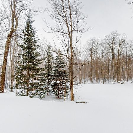 Jay Peak Village Home 367B エクステリア 写真