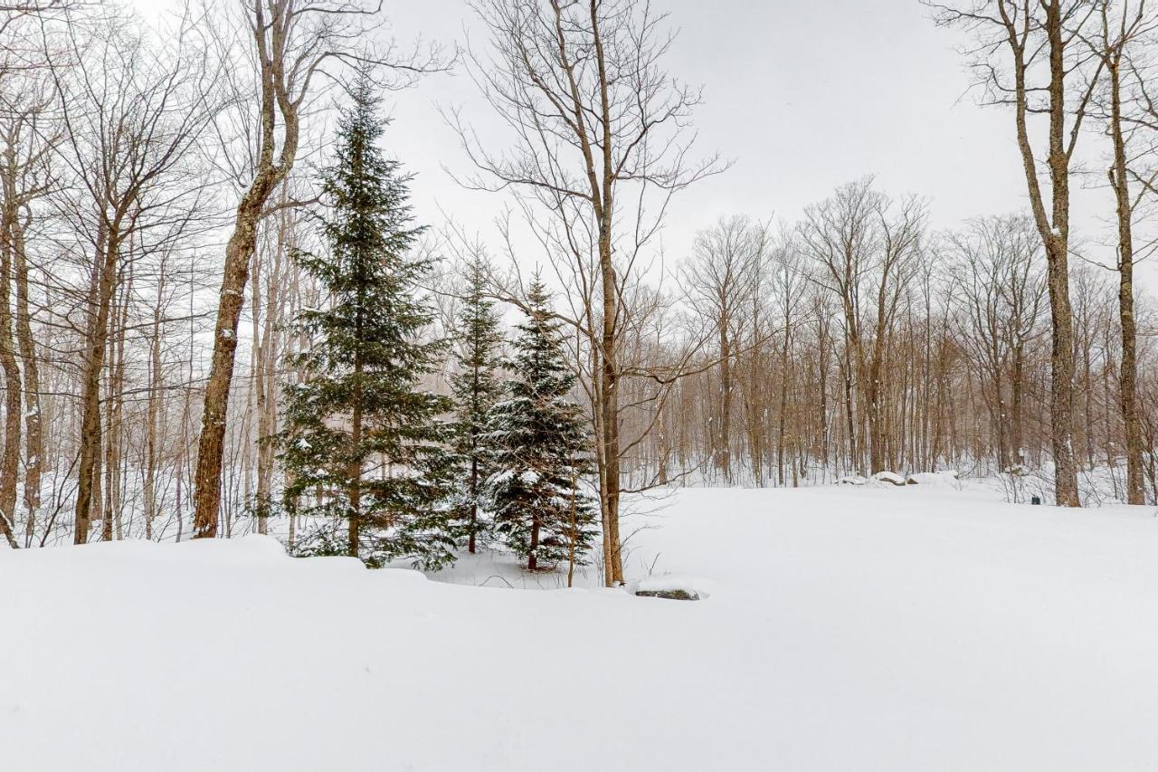 Jay Peak Village Home 367B エクステリア 写真